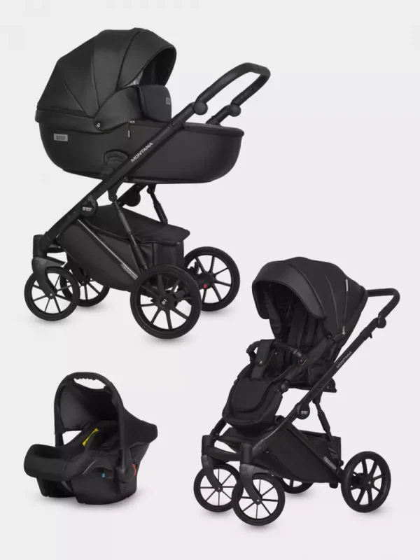 Коляска 3 в 1 Riko Basic Montana Ecco 12 black — изображение 15